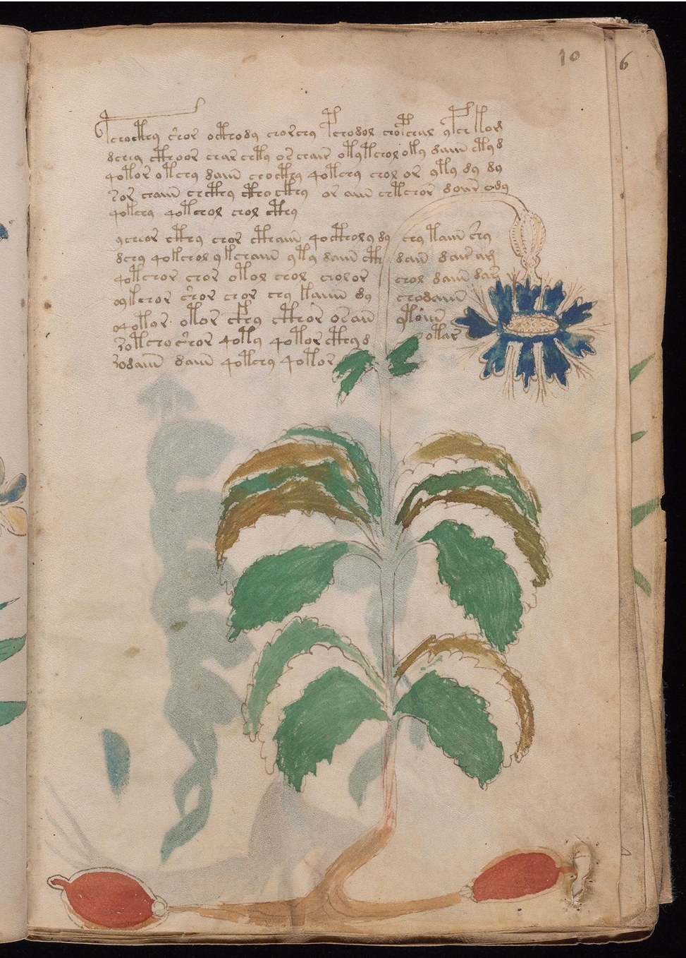 Original manuscript of Folio 10r